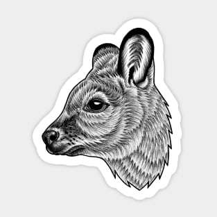 Wallaby - ink illustration Sticker